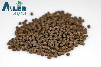 Master - 4.5mm - 25kg